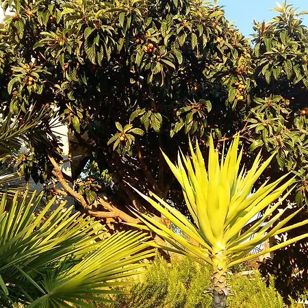 Apartmarin Трогір