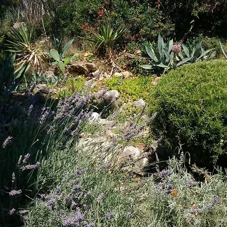 Apartmarin Апартаменти *