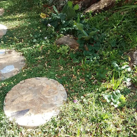 Apartmarin Апартаменти