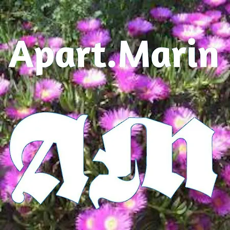 Apartmarin 公寓 特罗吉尔