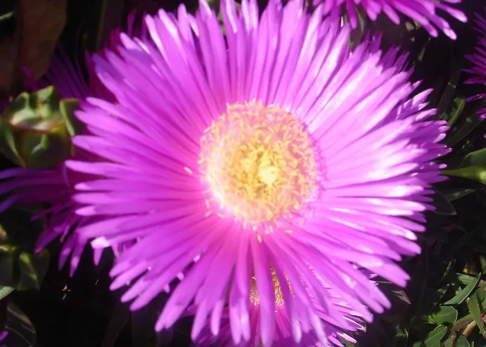 Apartmarin Διαμέρισμα Τρογκίρ