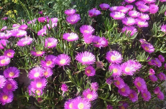 Apartmarin Διαμέρισμα