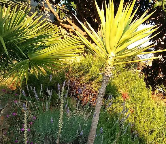 Apartmarin Τρογκίρ