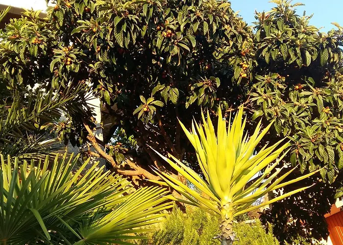 Apartmarin Τρογκίρ