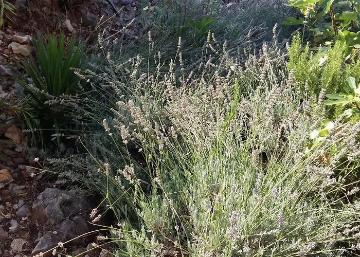 Apartmarin * Τρογκίρ