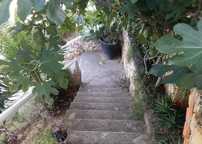 Apartmarin トロギール